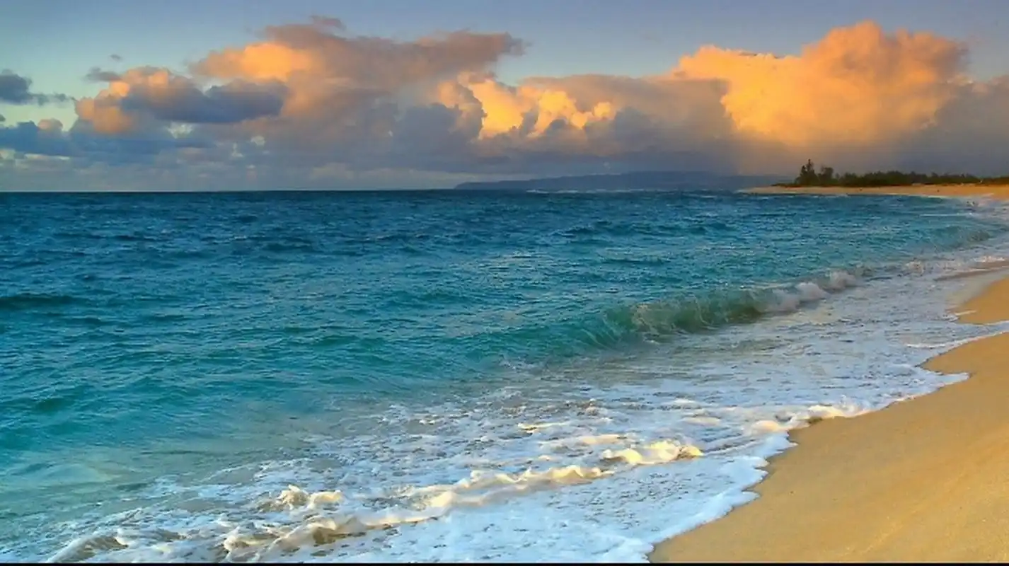 美丽的大海图片