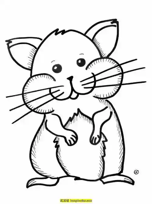 6张宠物小老鼠小仓鼠卡通手绘儿童简笔画 | 红豆饭小学生简笔画大全