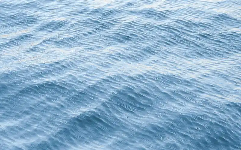 早春小清新景物风景图片壁纸