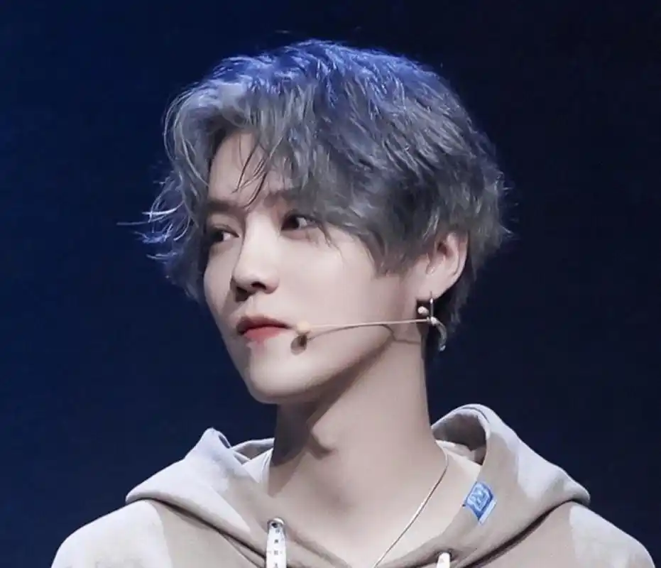 刘雨昕|微博年度推荐十大歌手:蔡徐坤和张艺兴入选,周杰伦和陈奕迅