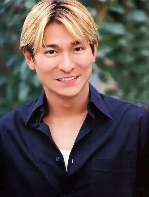 刘德华的金发中分发型也是80后的一段回忆,这款发型估计没有几个伙伴