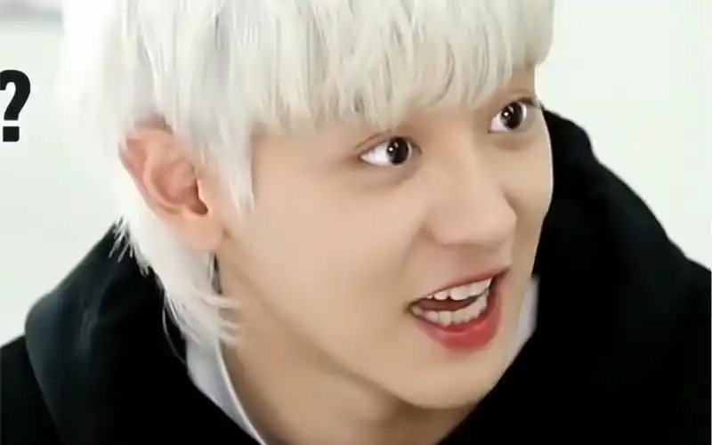 【朴灿烈】白发狼尾的朴灿烈你最最最好看了!_哔哩哔哩_bilibili