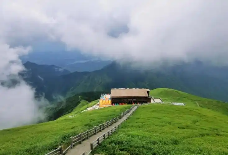 武功山的高山草甸