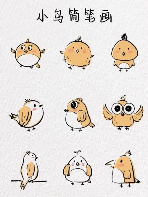 简笔画教程  #procreate  #画画的日常  #画个简笔画  #小鸟  #小鸟