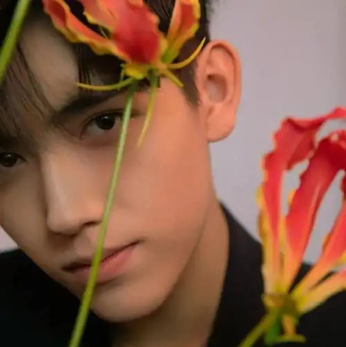 微信头像陈飞宇