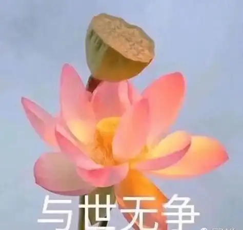莲花头像微信头象 - 搜狗图片搜索
