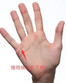 婚姻线上长下短图解