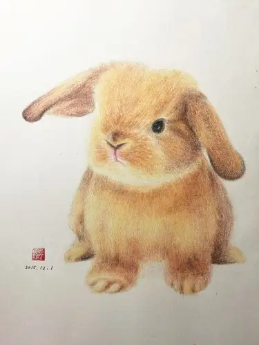兔叽 涂鸦 兔子 彩铅 彩铅画 彩铅兔 彩铅动… - 堆糖,美图壁纸兴趣社