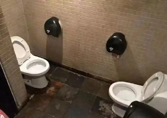 我要"瞎"了,史上最奇葩的厕所设计盘点!_马桶