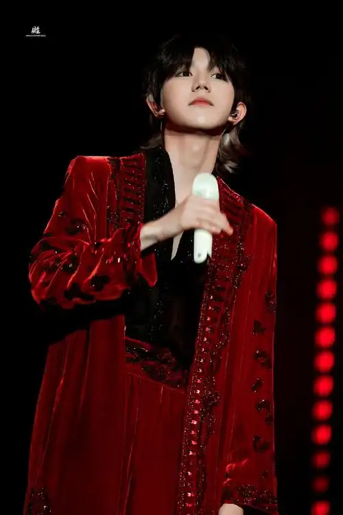 王源演唱会氛围