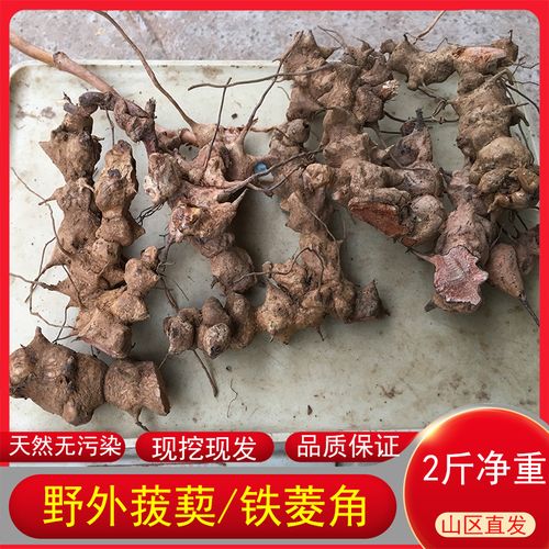 金刚藤头深山菝葜铁菱角1000g新鲜无硫药材煲汤材料泡酒原料正品