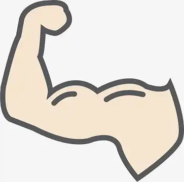 简笔画(567x567)png卡通动物小猪矢量(2