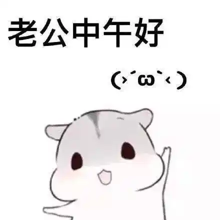 卖萌仓鼠老公表情包