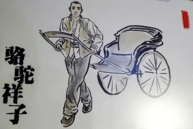 《骆驼祥子》源自于山大一位朋友讲的一个人力车夫"三起三落"的故事