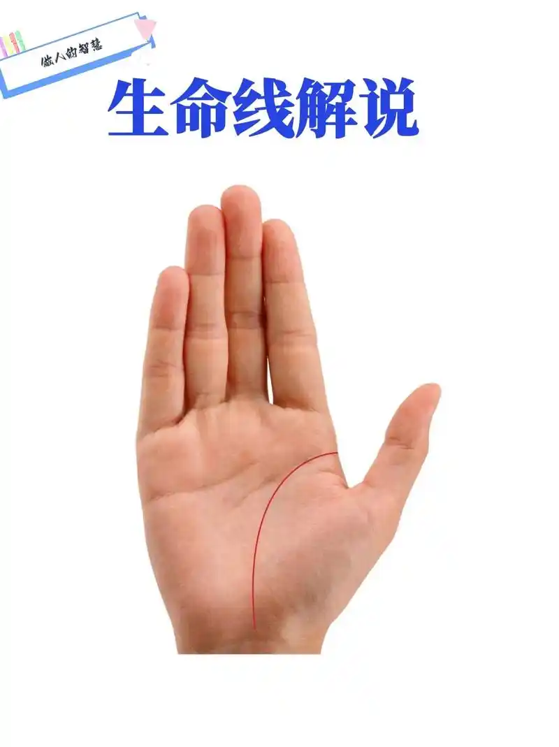 手掌9415 "生命线"解读.生命线起于虎口位置,往手腕线延伸 - 抖音