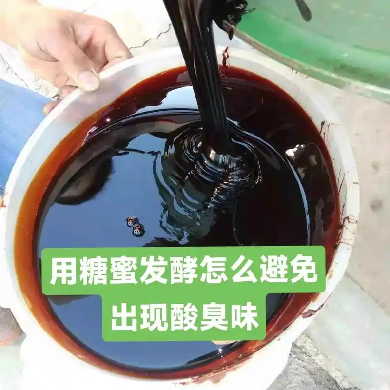 为何用糖蜜发酵会出现酸臭味?