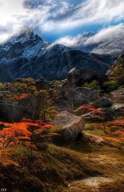 700_1080竖版 竖屏