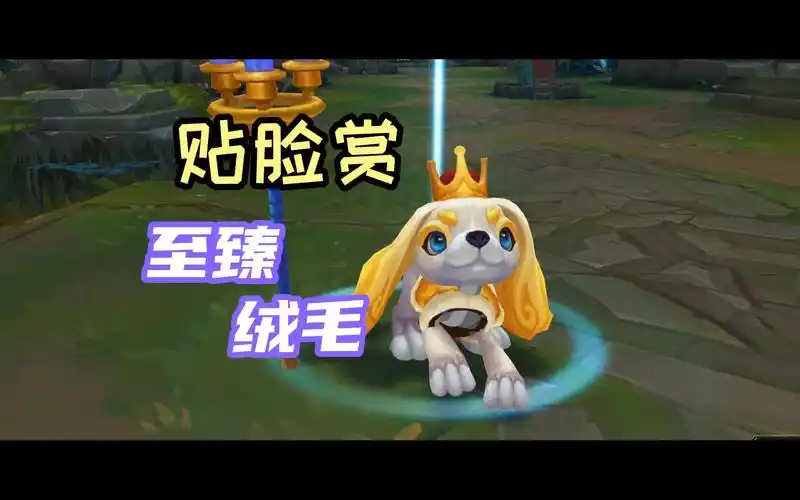 【贴脸赏】至臻 绒毛 菲兹