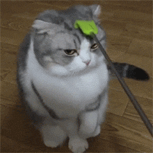 痒图片_痒动态图_痒表情包gif动图下载_soogif