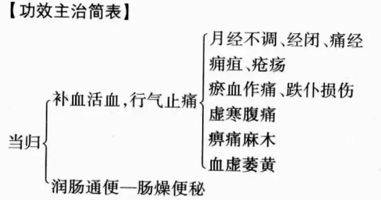 当归的功效和作用及禁忌,中药当归图片
