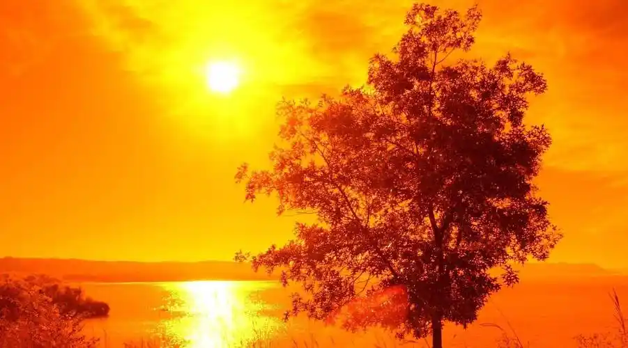 原创最近运气无敌的四大属相开头有好运吉星高照