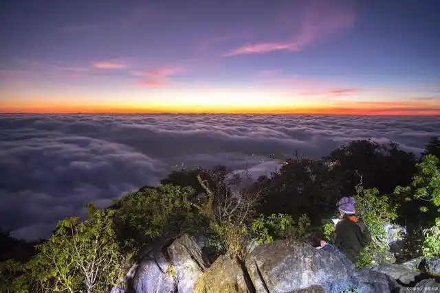阿里山是台湾省的著名旅游风景区,台湾八大名胜之一, 也是全台湾最