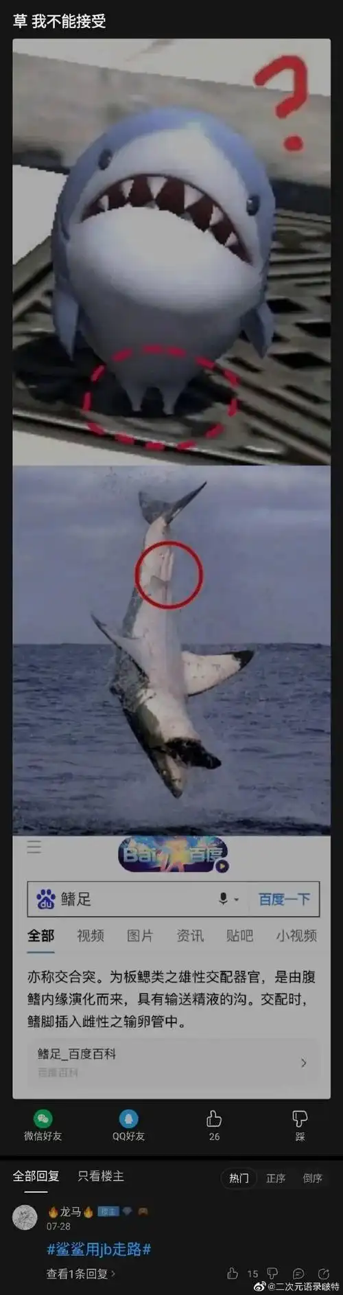 后,这可能是今年meme圈最"鲨雕"的崽|宠物|大白鲨|虎鲸|鲨鱼_网易订阅