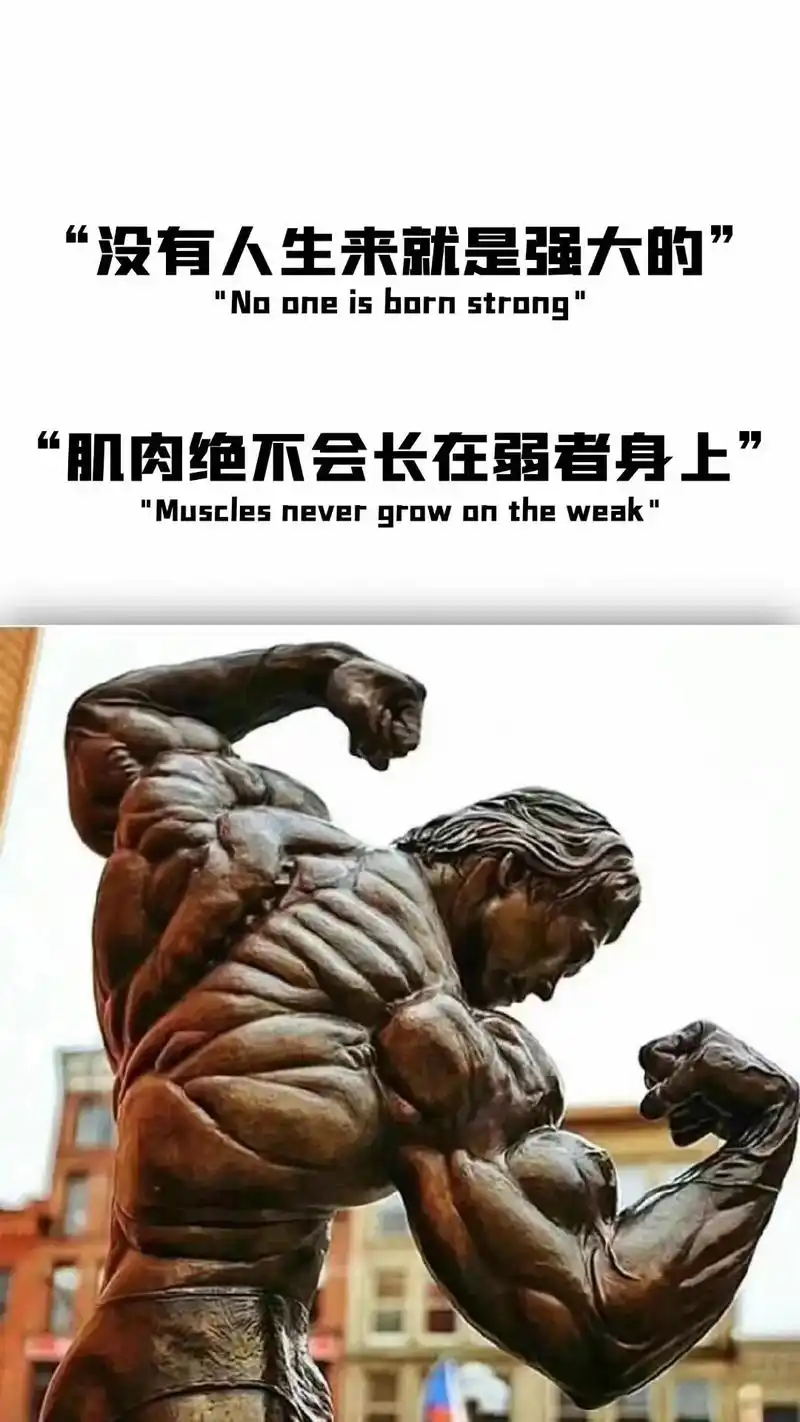 健身壁纸 #健身励志壁纸 #精神氮泵 #你该换壁纸 说说为 - 抖音