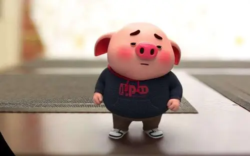 小可爱猪小屁(一)(图片来自网络)