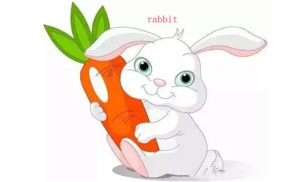 兔子用英语怎么说音标英rbt美rbt