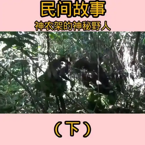 深山里出没的野人是红毛的-vlog视频-搜狐视频