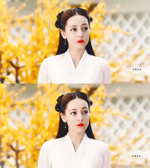 饭修/迪丽热巴三生三世枕上书白凤九青丘女君帝姬四海八荒第二绝色