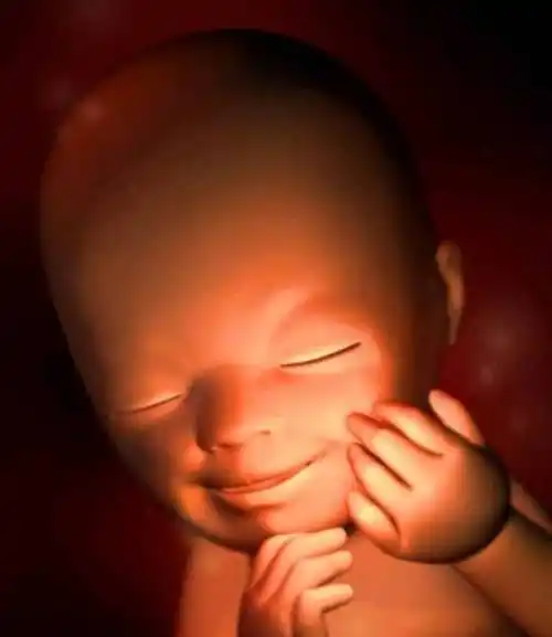 姐妹说,能看到孕10周胎儿的手脚,宝妈们却不相信_cm_身长_宝宝