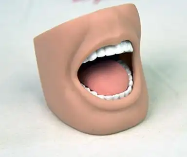 产品名称:"康为医疗"成人全口牙可开闭模型