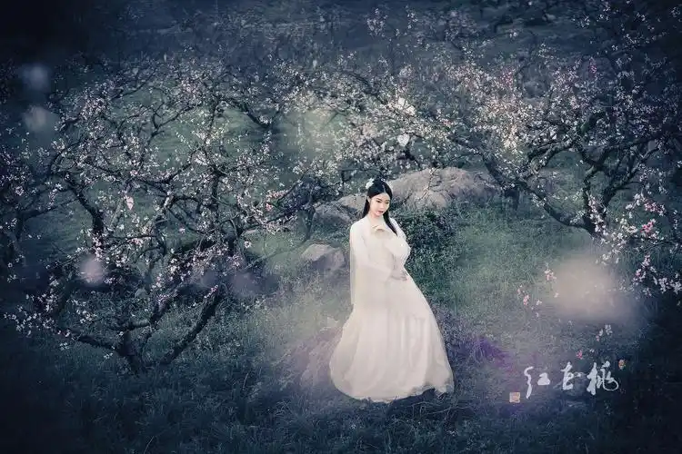 烟雨江南醉桃花