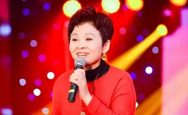 董文华:22岁嫁初恋,23岁爆火,31岁生子,38岁跌落神坛