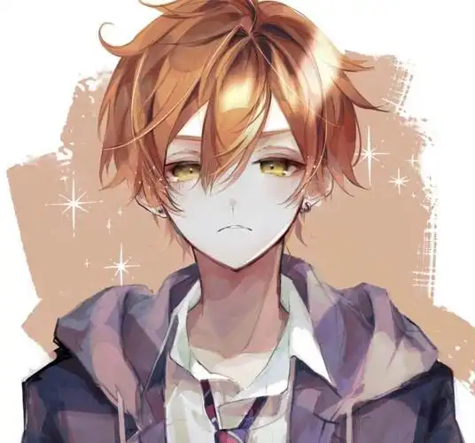 5.二次元男生图片 文案