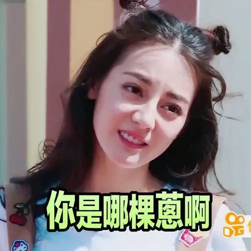迪丽热巴.表情包.