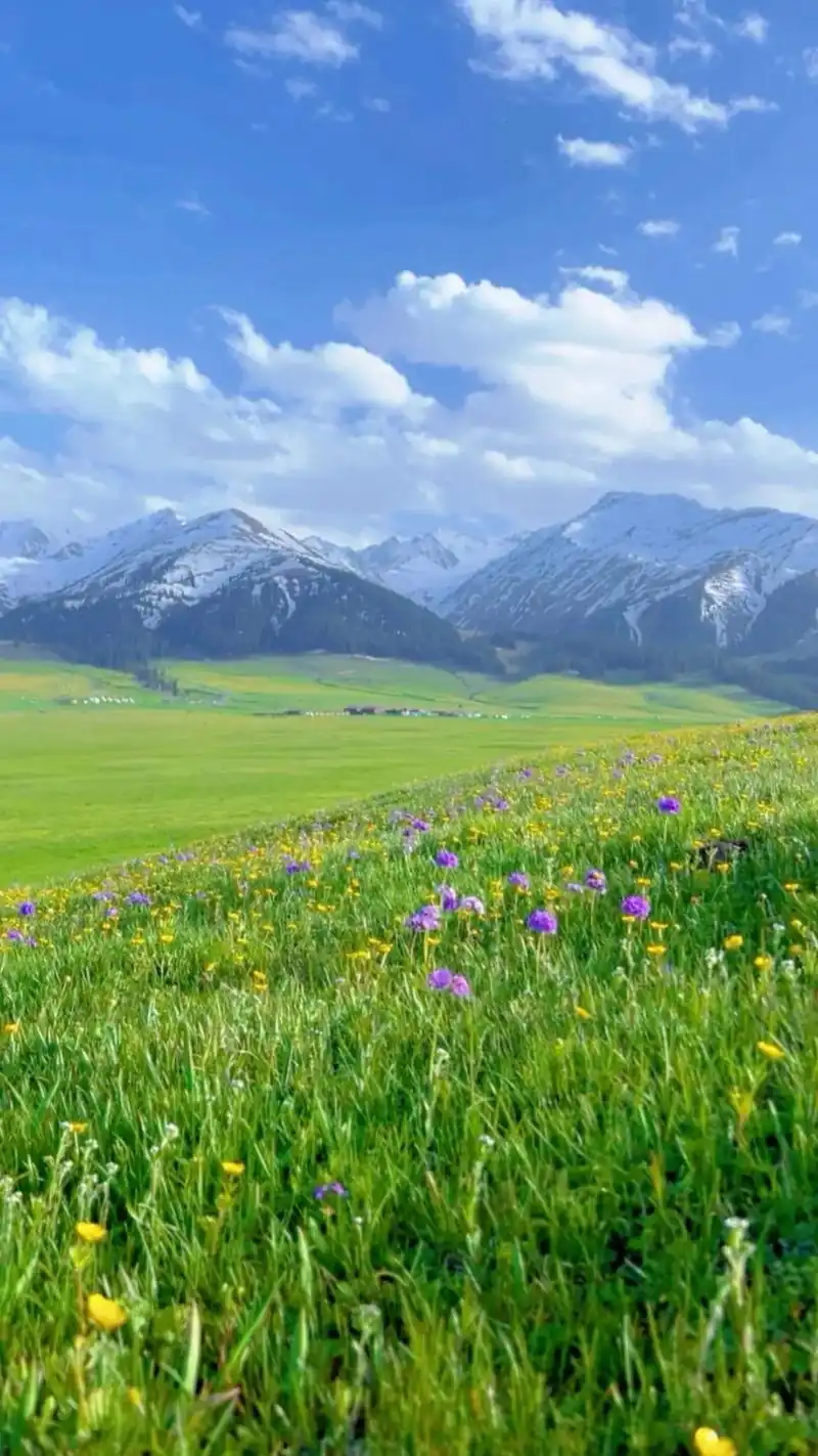 壁纸 草原 桌面 1064_1892 竖版 竖屏 手机