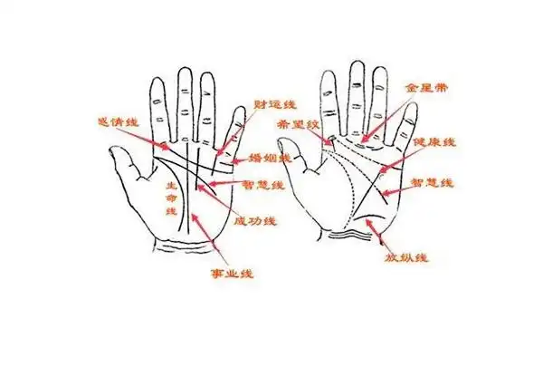 男人手相论命