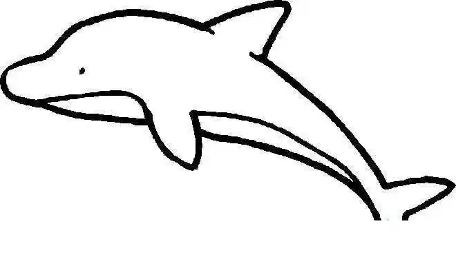 幼儿画画入门简笔画,幼儿中班画画简笔画花卉主题简笔画,简单易懂更