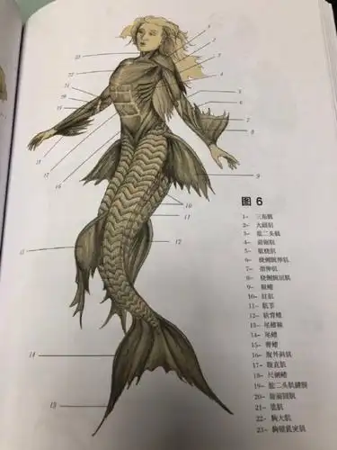 当然如果你想看男美人鱼! 我们也是有滴! 只有你们想不到的!