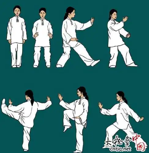 教你打好陈式太极拳基本功