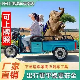 三轮车摆摊新款载货电动可上牌拉货农用小型家用电瓶车速卖通代发
