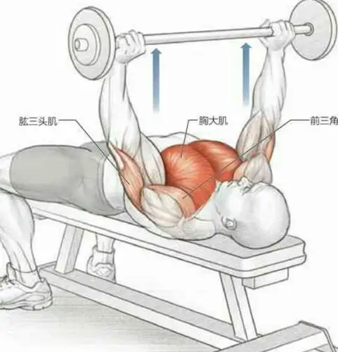 胸大肌器械练习