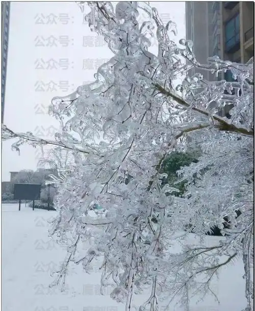 地理课程极端天气下的列车晚点冻雨的成因危害及防范
