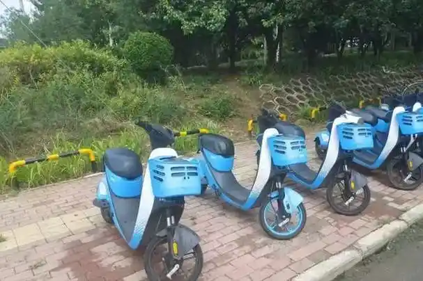 石家庄市鹿泉区城管开展共享电动车乱停放集中整治行动