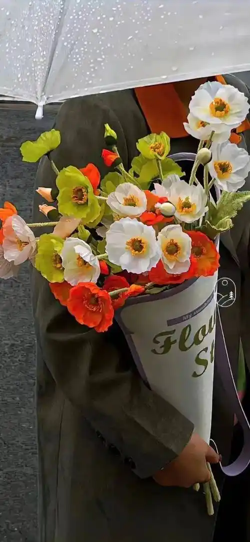 壁纸高级感ins风简洁手机壁纸