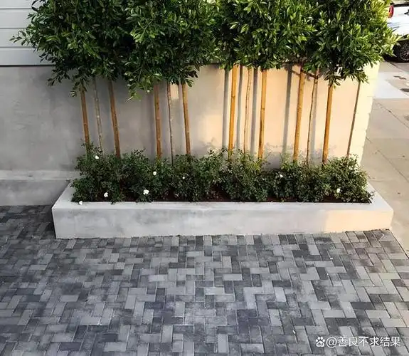 今天就跟大家介绍一种适合任何风格庭院的墙底花池--单一直线型花池.