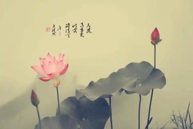 佛系禅意句子(佛系禅意句子图片) - 生活常识 - 旭辉网